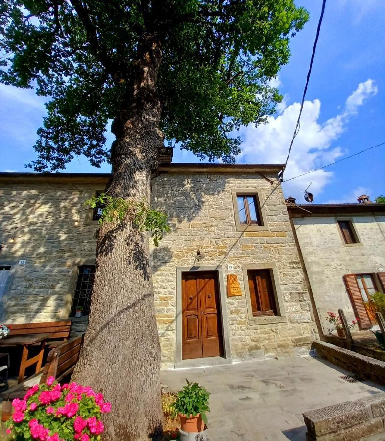Casina La Quercia Lejlighed Santa Sofia Eksteriør billede