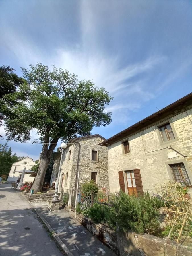Casina La Quercia Lejlighed Santa Sofia Eksteriør billede