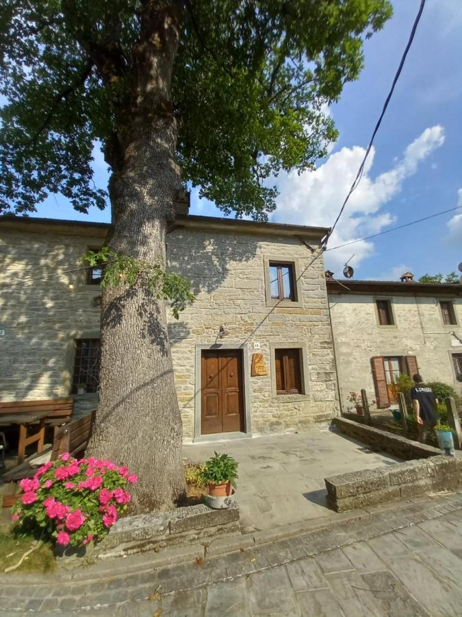 Casina La Quercia Lejlighed Santa Sofia Eksteriør billede