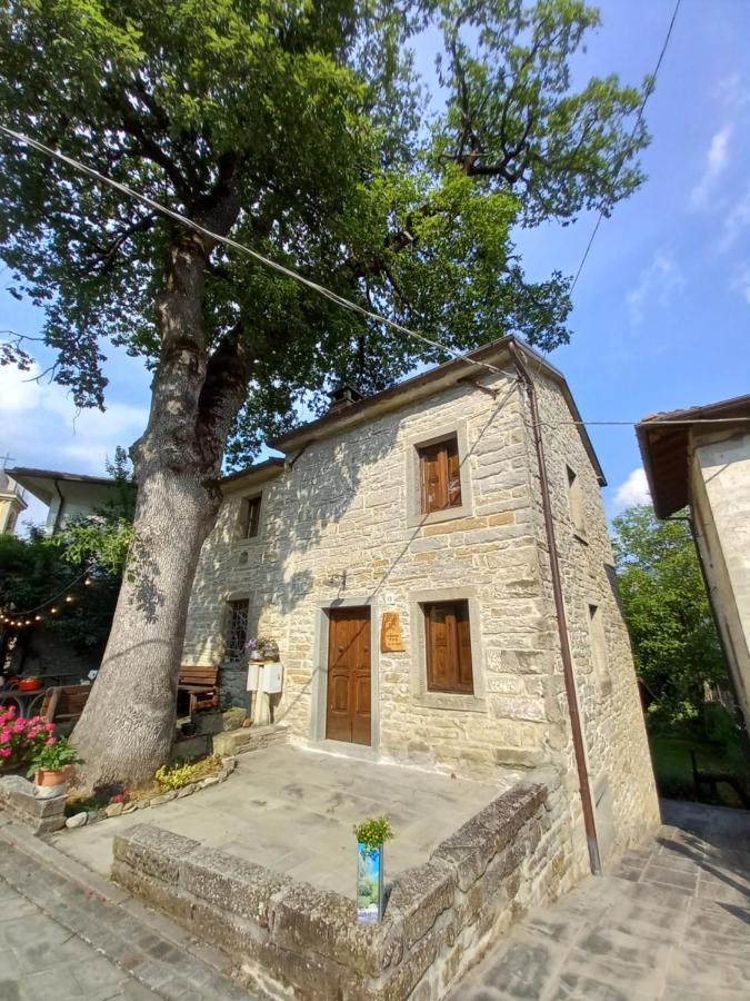 Casina La Quercia Lejlighed Santa Sofia Eksteriør billede