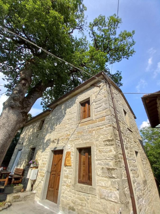 Casina La Quercia Lejlighed Santa Sofia Eksteriør billede